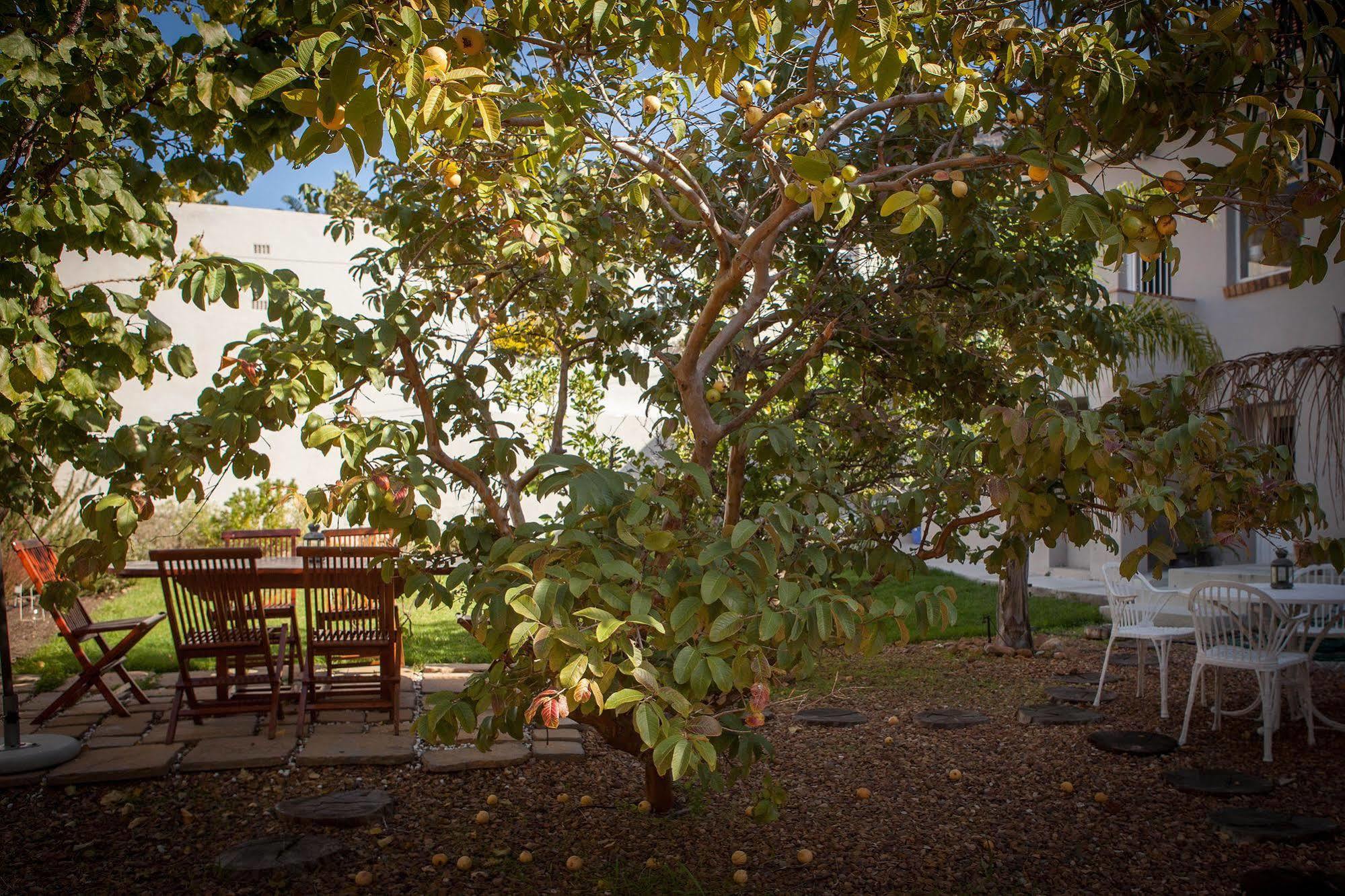 The Lions Guest House Cape Town Bagian luar foto