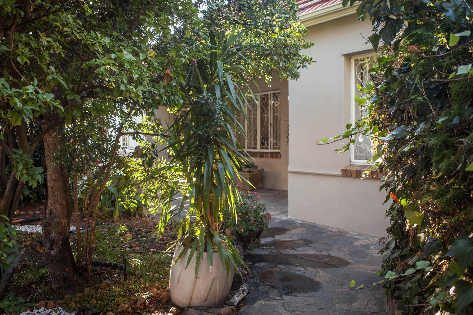 The Lions Guest House Cape Town Bagian luar foto