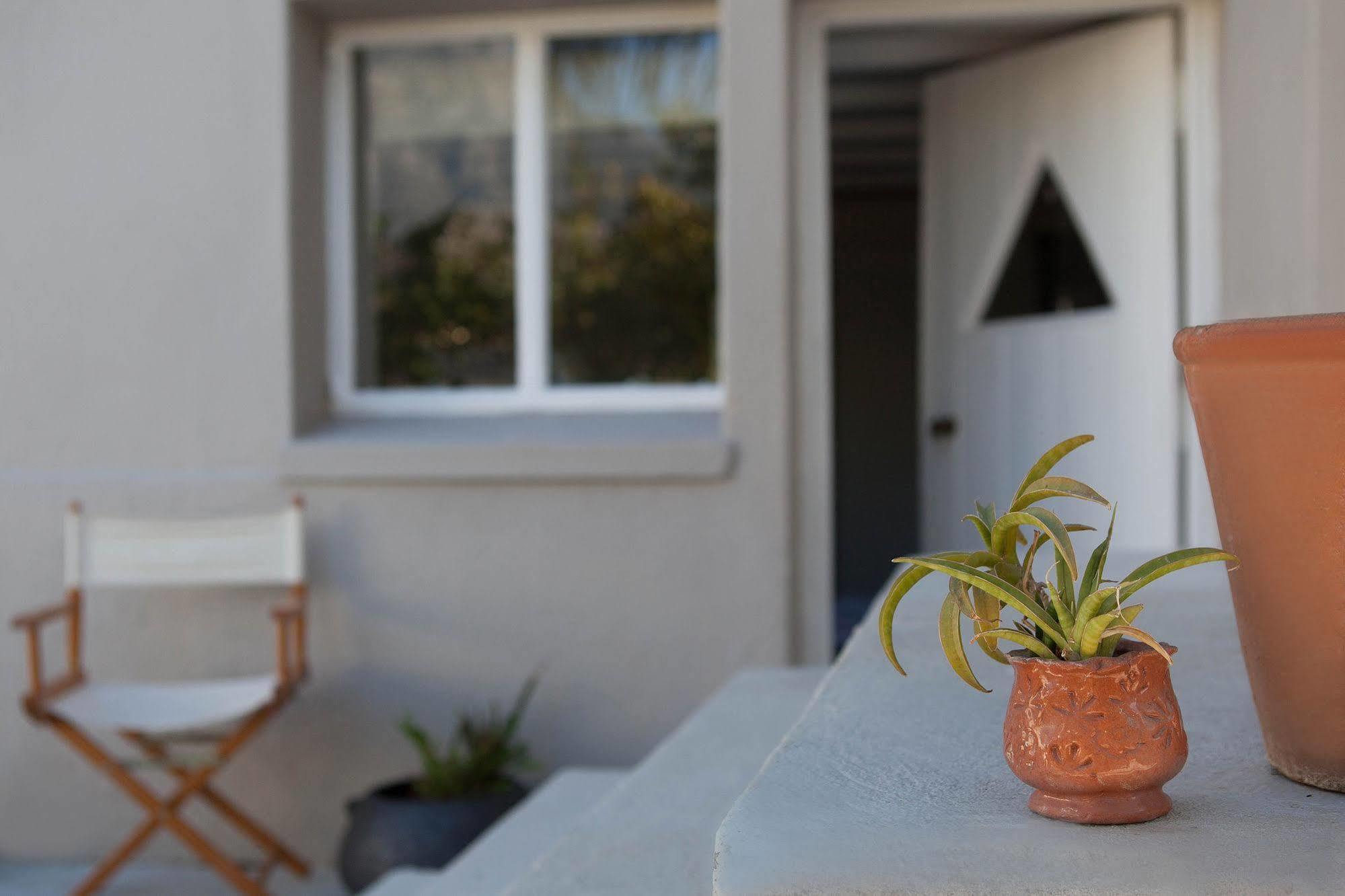 The Lions Guest House Cape Town Bagian luar foto